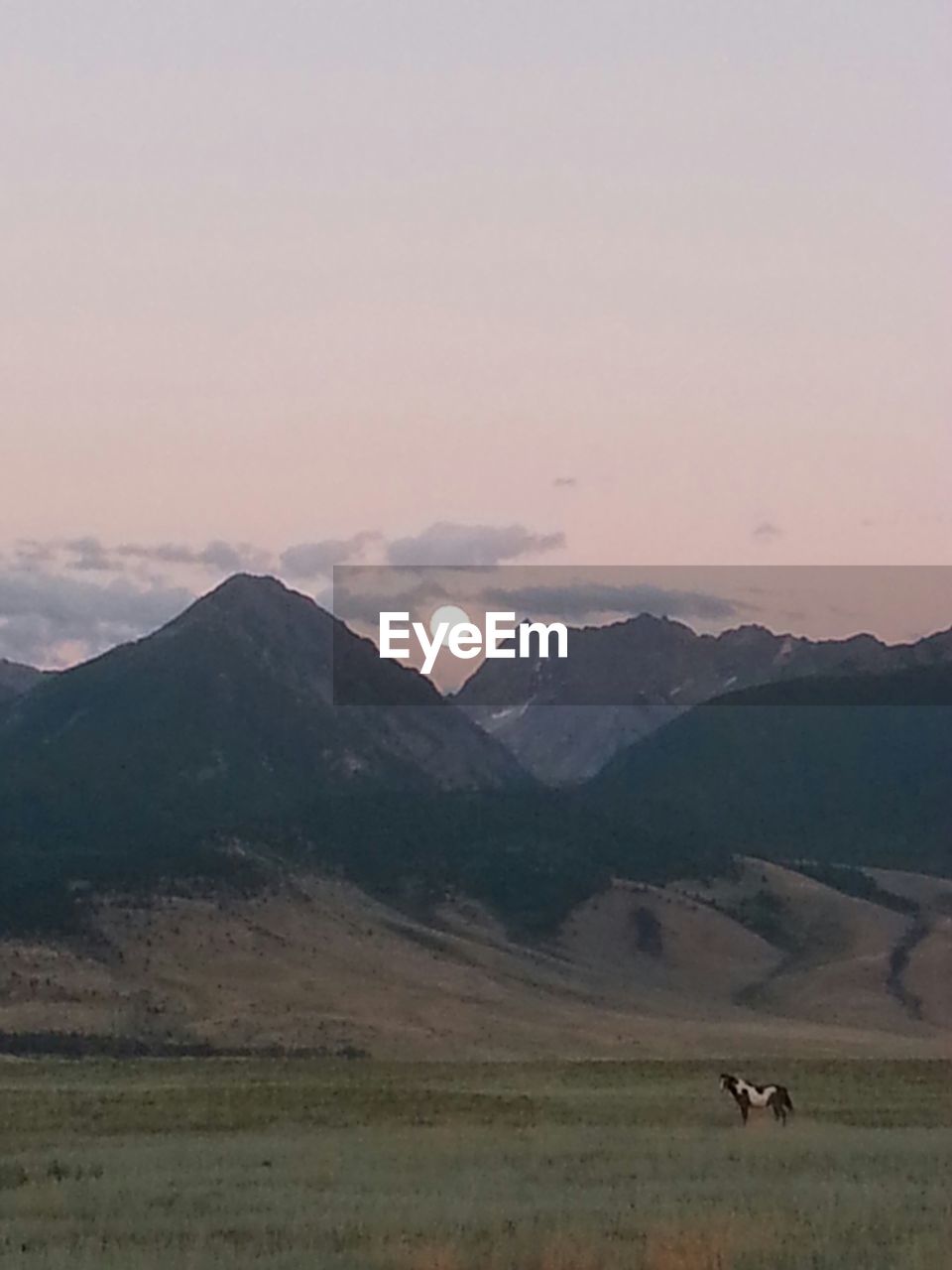 Horse on mountain landscape against sunset sky