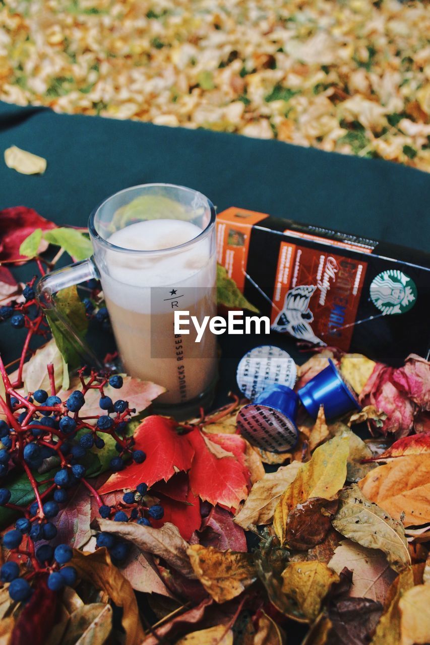 HIGH ANGLE VIEW OF COFFEE AND LEAVES ON GROUND