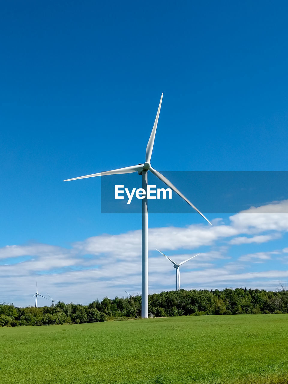 Wind turbines in field against blue sky