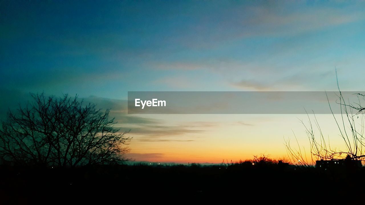 SILHOUETTE TREES ON FIELD AGAINST SKY DURING SUNSET