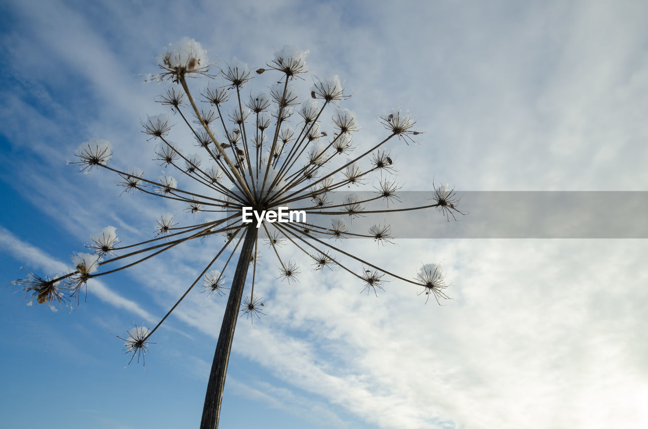 Low angle view of amusement park against sky