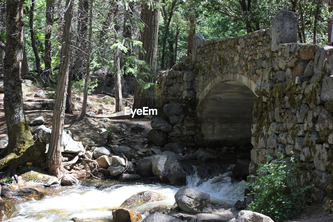 VIEW OF STONE WALL IN FOREST