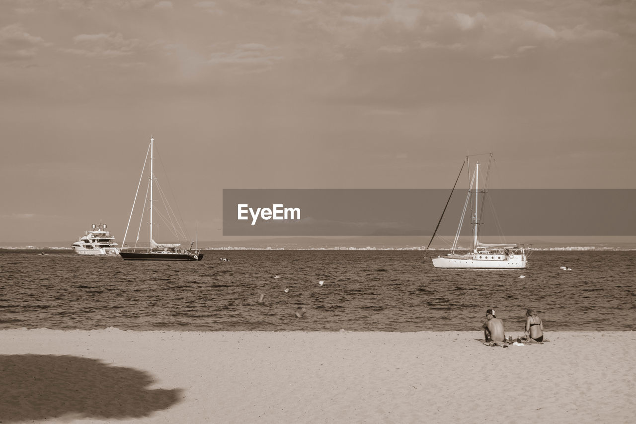 SAILBOAT SAILING ON SEA SHORE AGAINST SKY