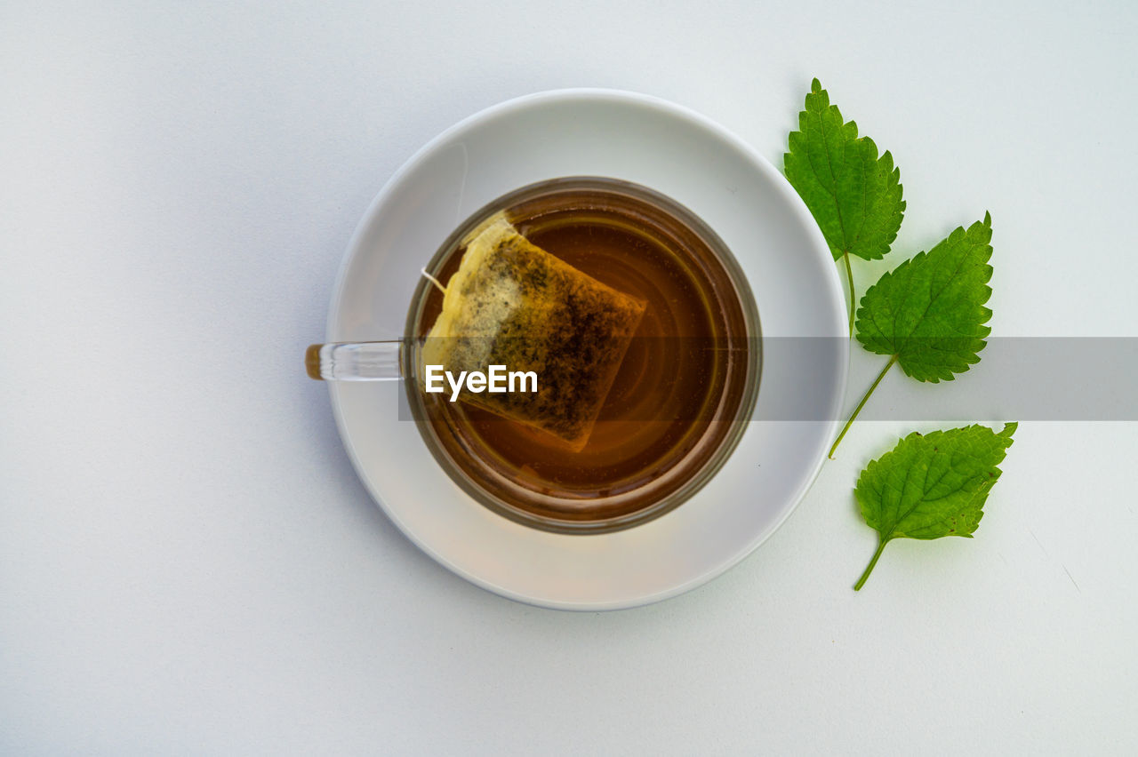 Nettle infusion in transparent cup, a sachet in water, a white saucer  and nettle leaves. 