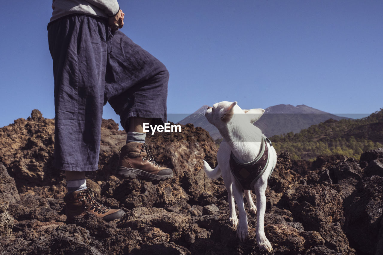 Small adventure dog looks back at hiker mum in mountains in spain