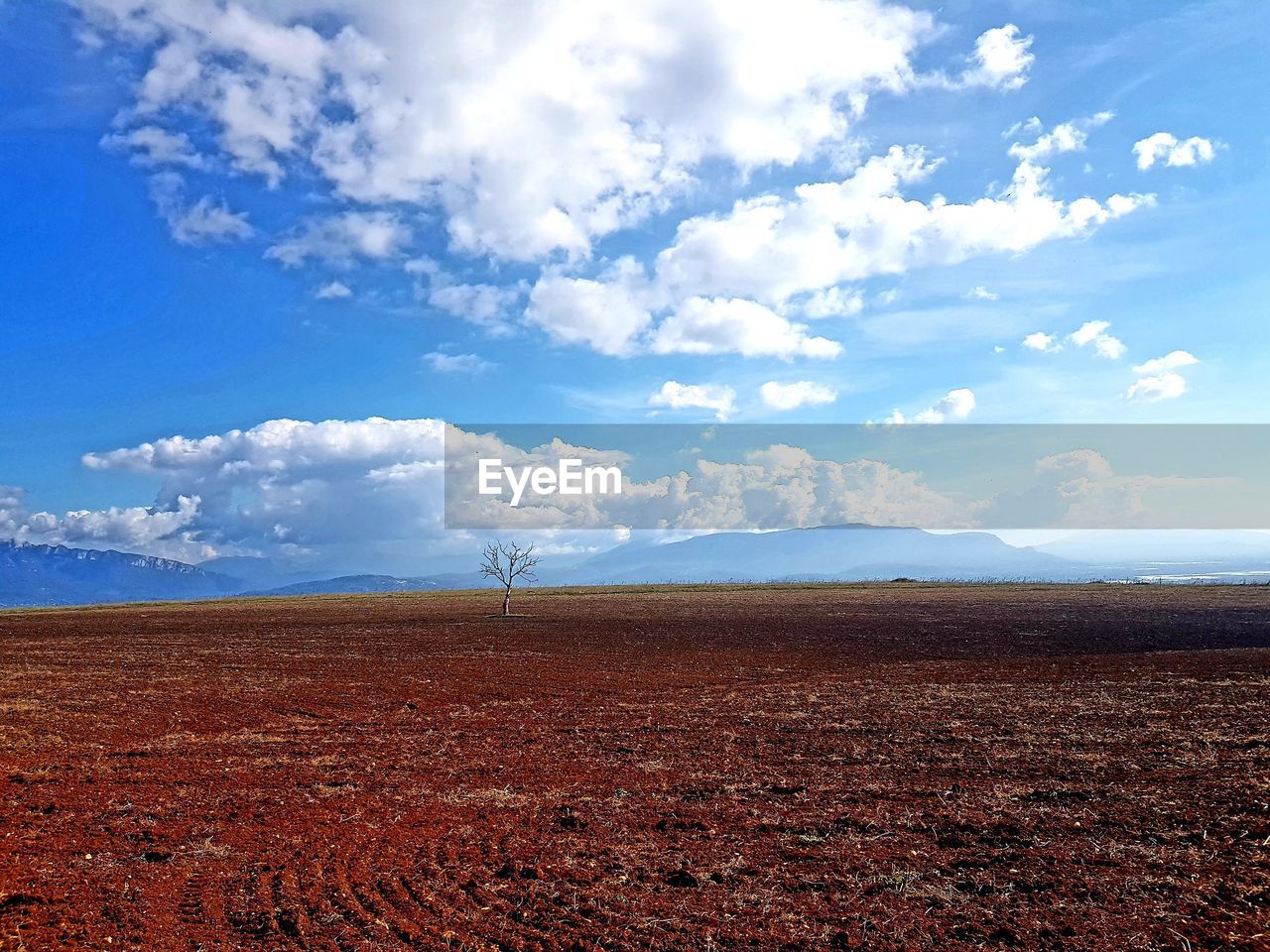 FIELD AGAINST SKY