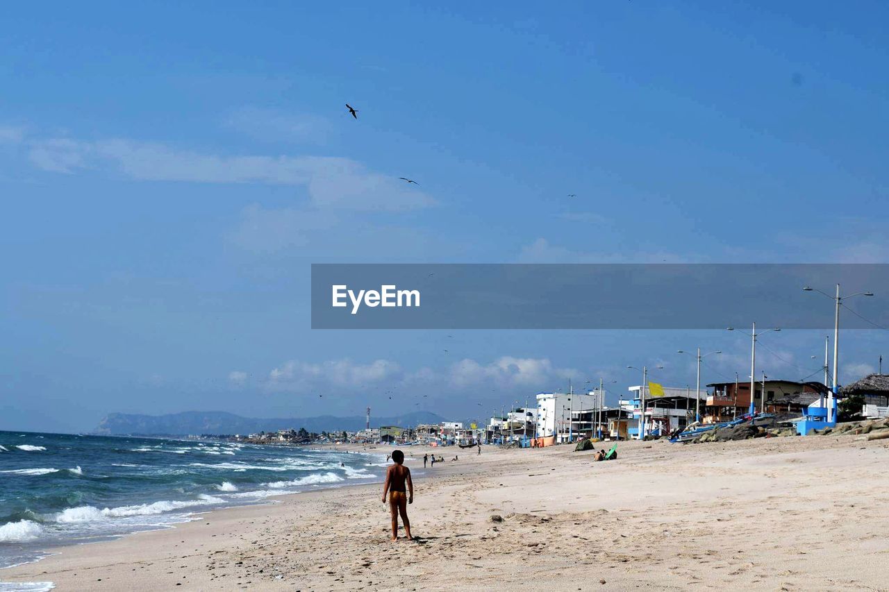 Seagull flying over beach against sky