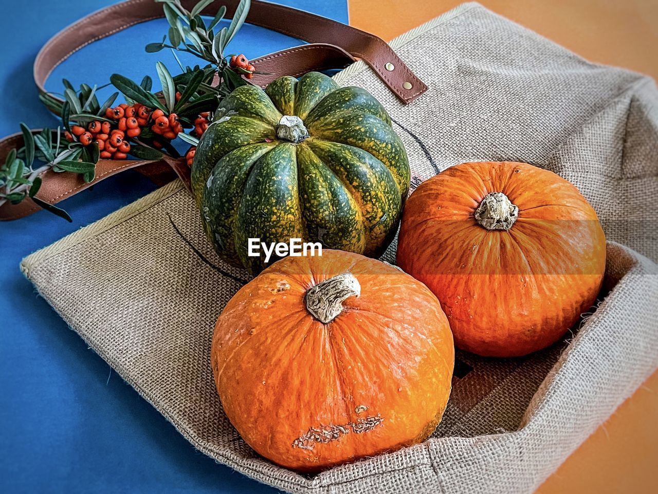 HIGH ANGLE VIEW OF PUMPKINS ON TABLE DURING HALLOWEEN