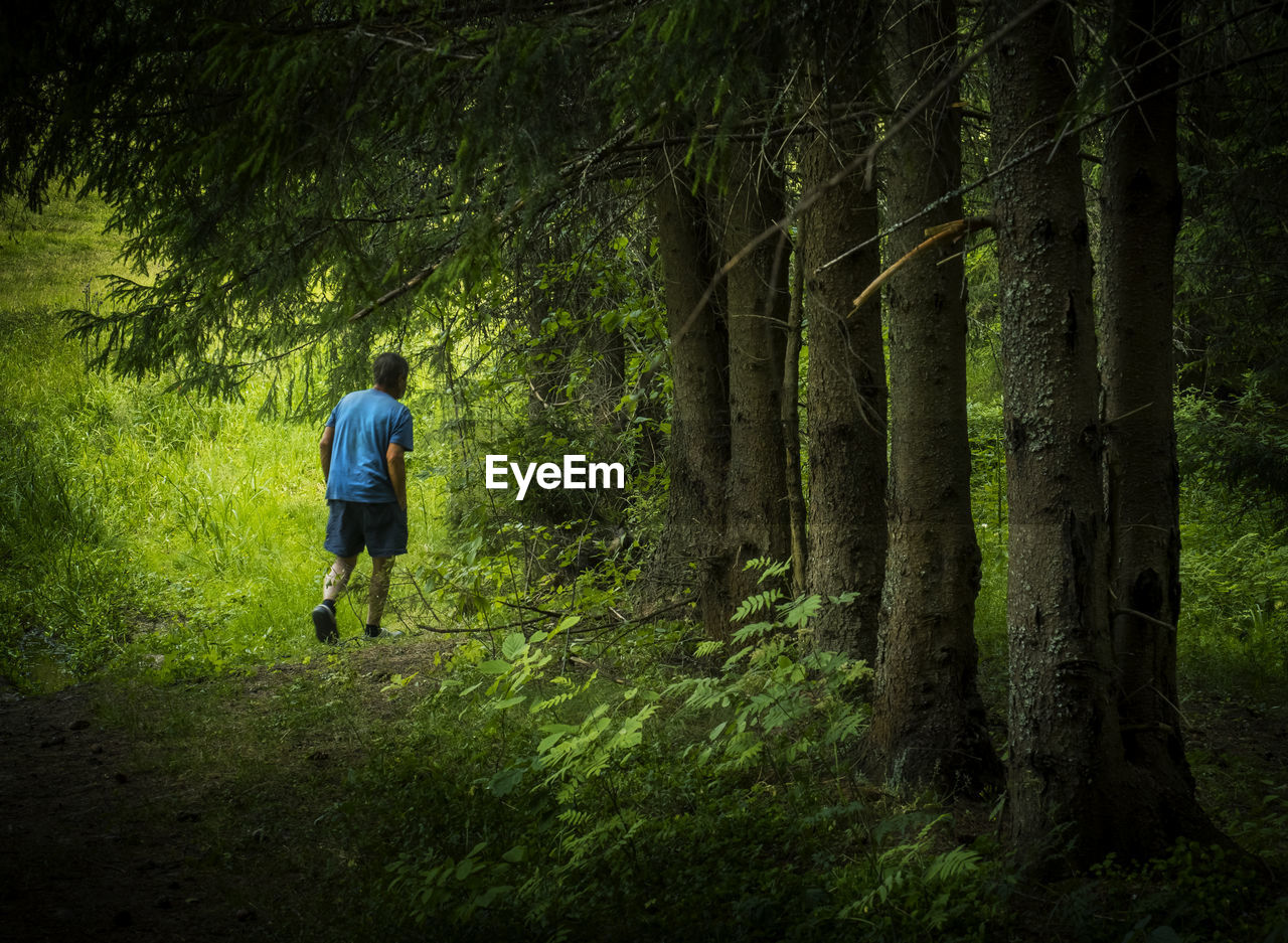 Rear view of man walking on grassy field in forest