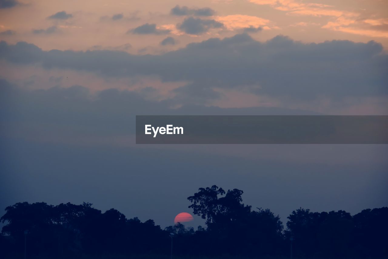 Low angle view of silhouette trees against sky during sunset