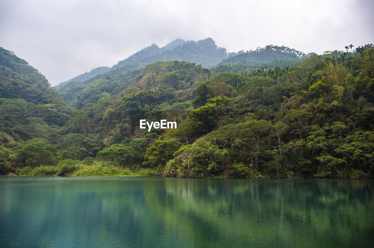 SCENIC VIEW OF LAKE AND TREES AGAINST SKY