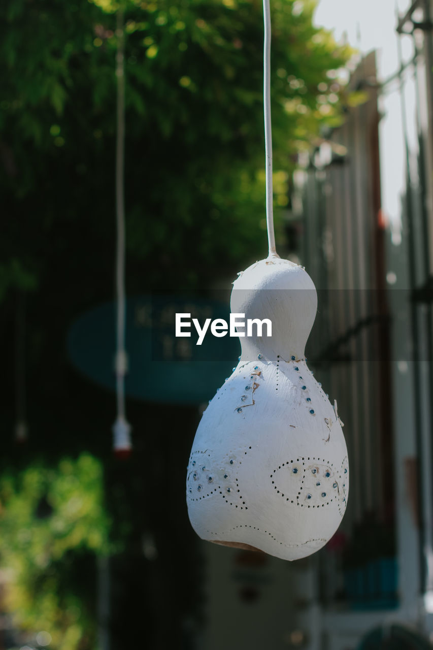 CLOSE-UP OF WHITE FLOWER HANGING ON GLASS AGAINST TREES