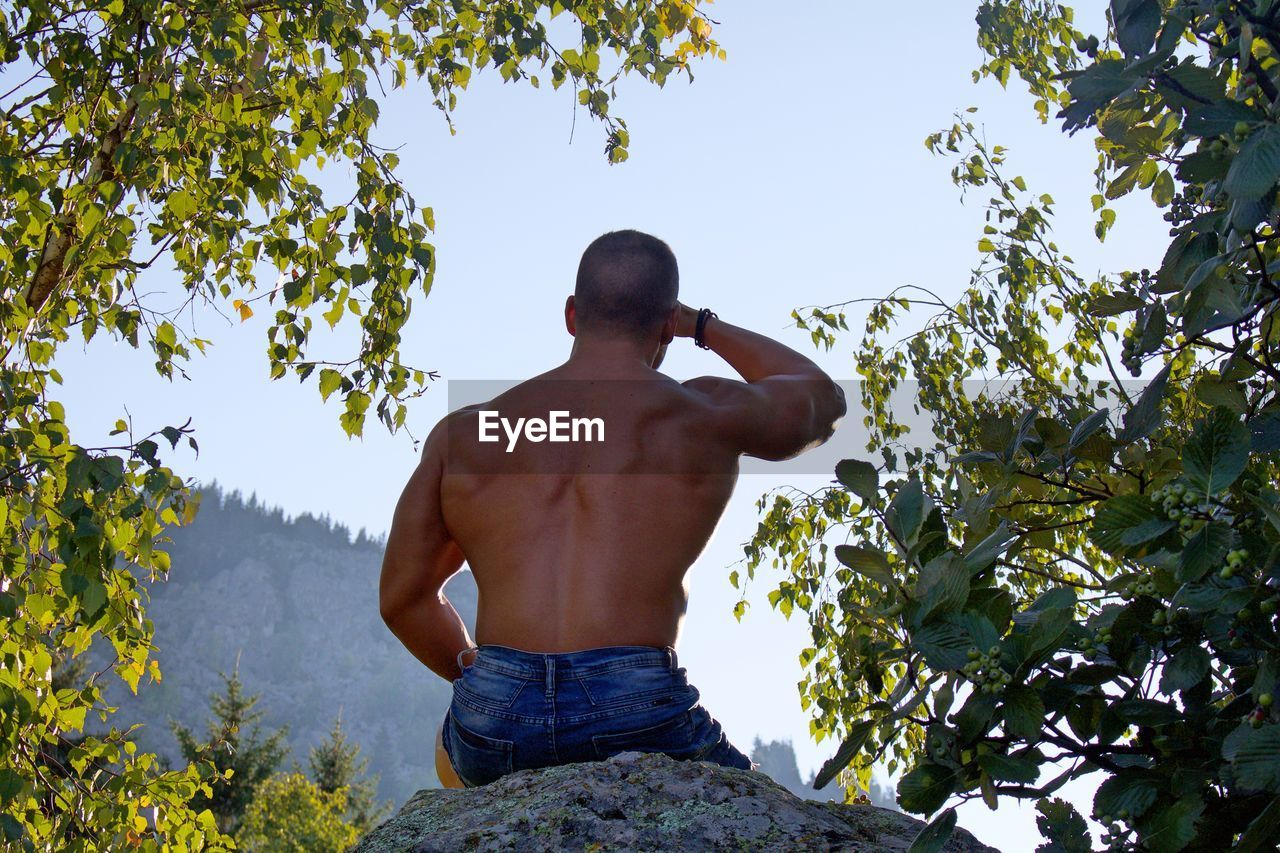 Rear view of shirtless man looking at tree against sky