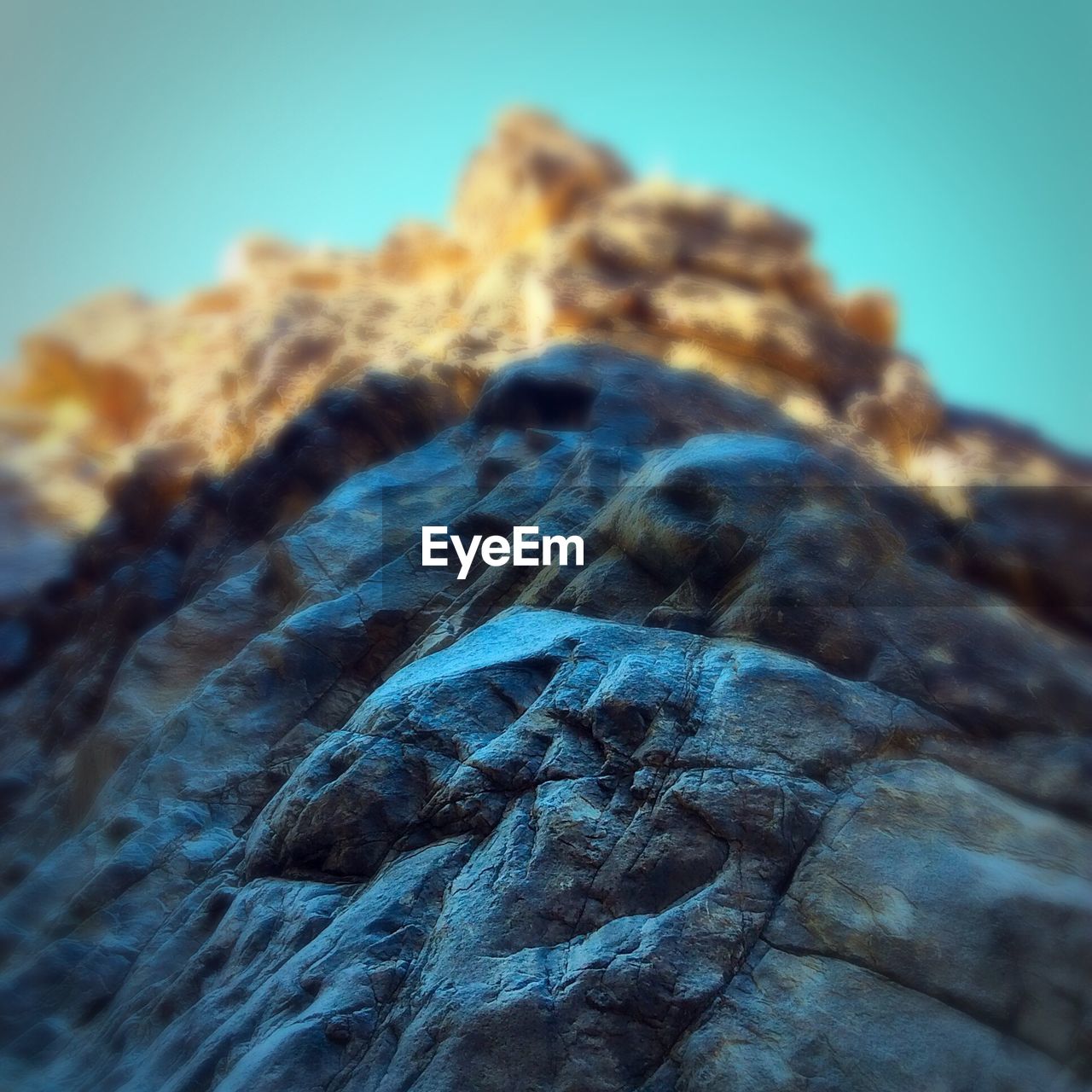 LOW ANGLE VIEW OF TREE TRUNK AGAINST CLEAR BLUE SKY