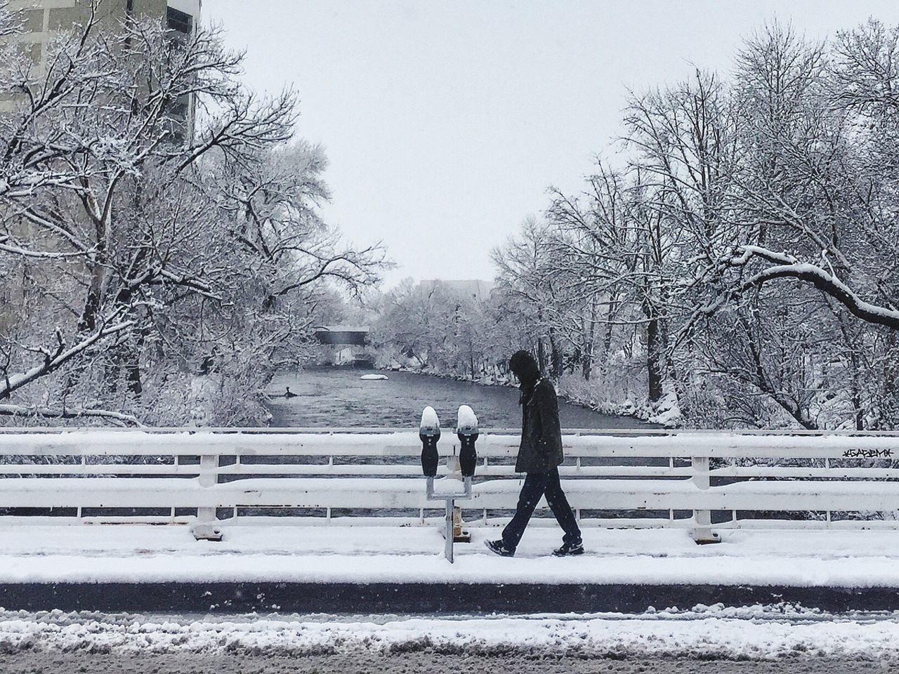 Rear view of people walking on snow covered landscape