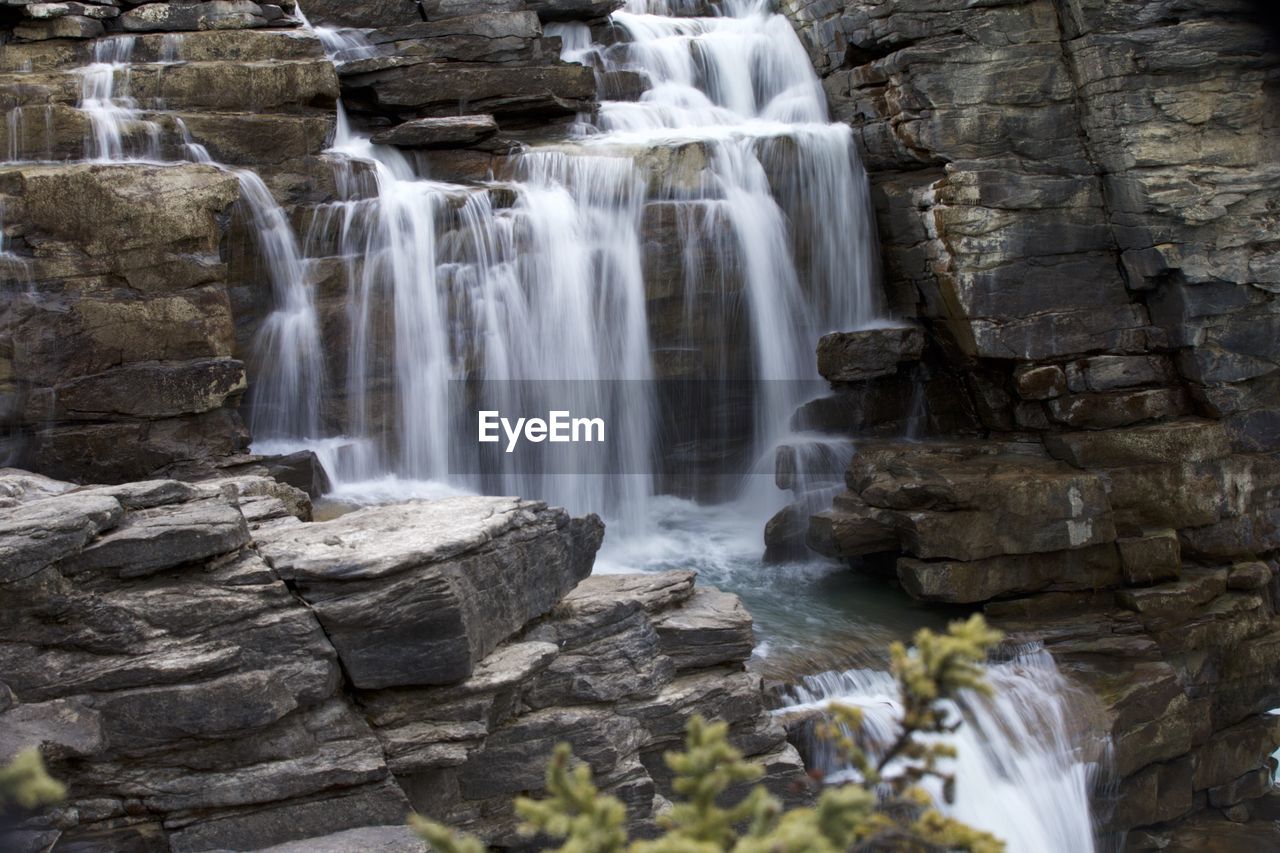 VIEW OF WATERFALL IN A FOREST