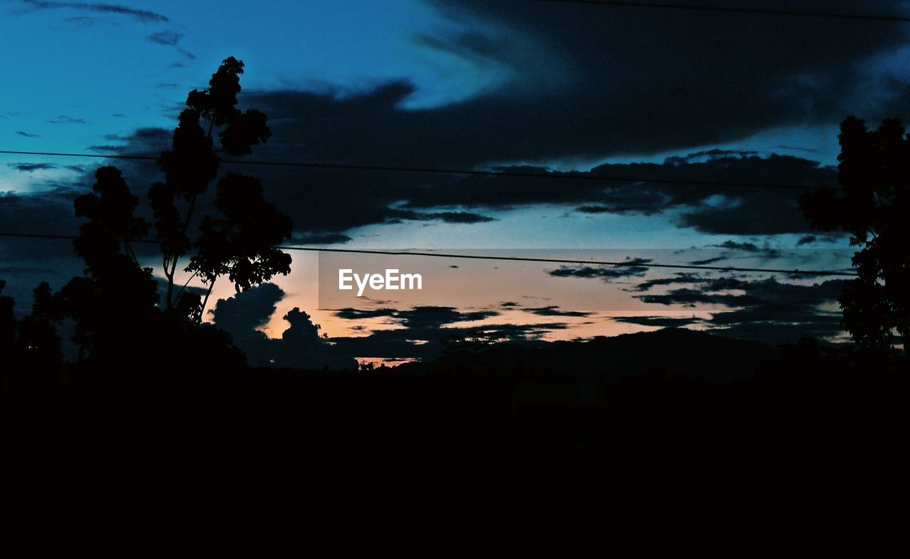 SILHOUETTE OF TREES AT SUNSET