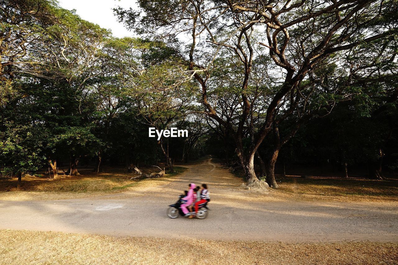 People riding motor scooter on street against trees