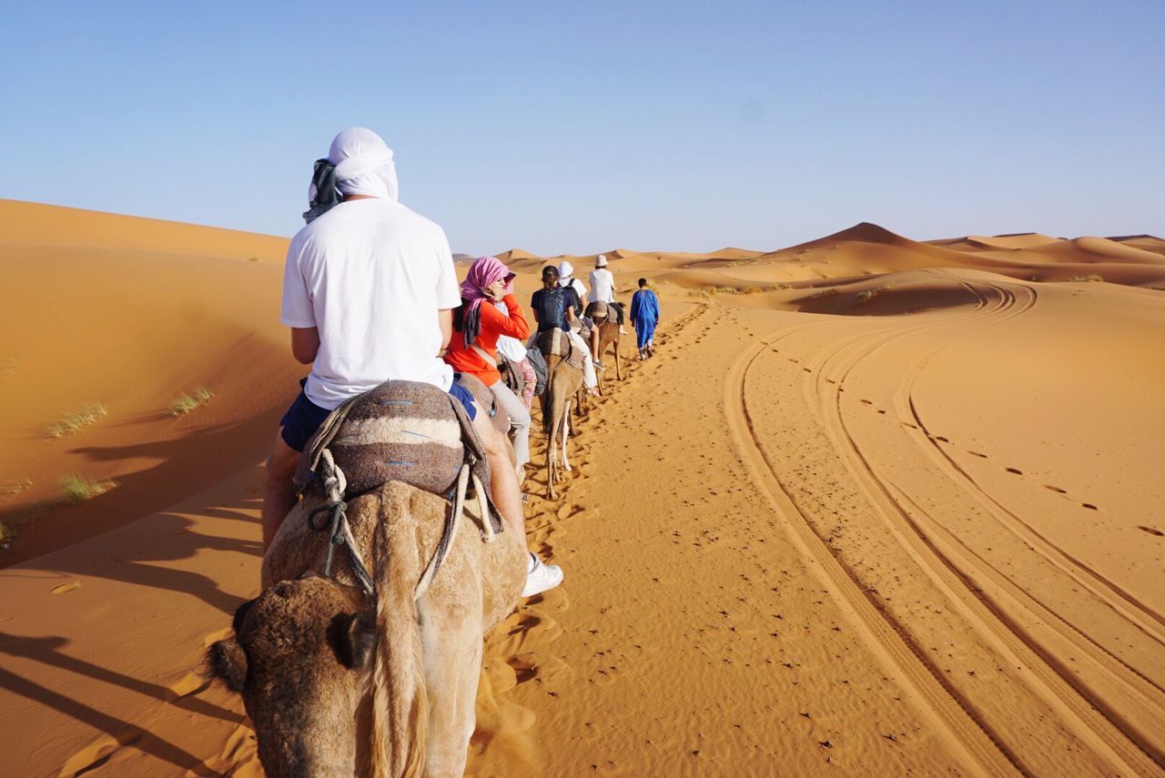 Rear view of tourists riding on camels in sahara desert