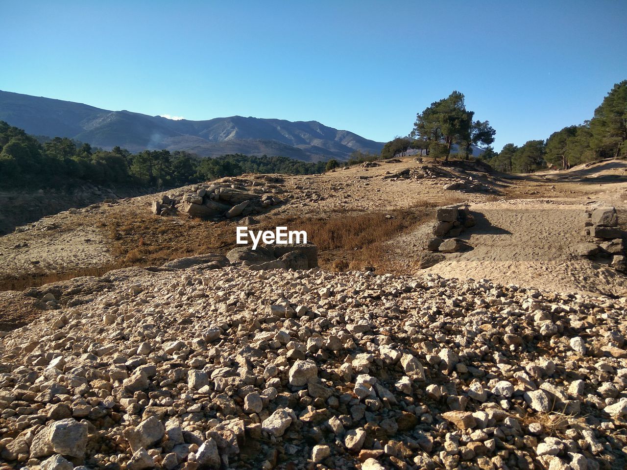 VIEW OF LANDSCAPE AGAINST CLEAR SKY