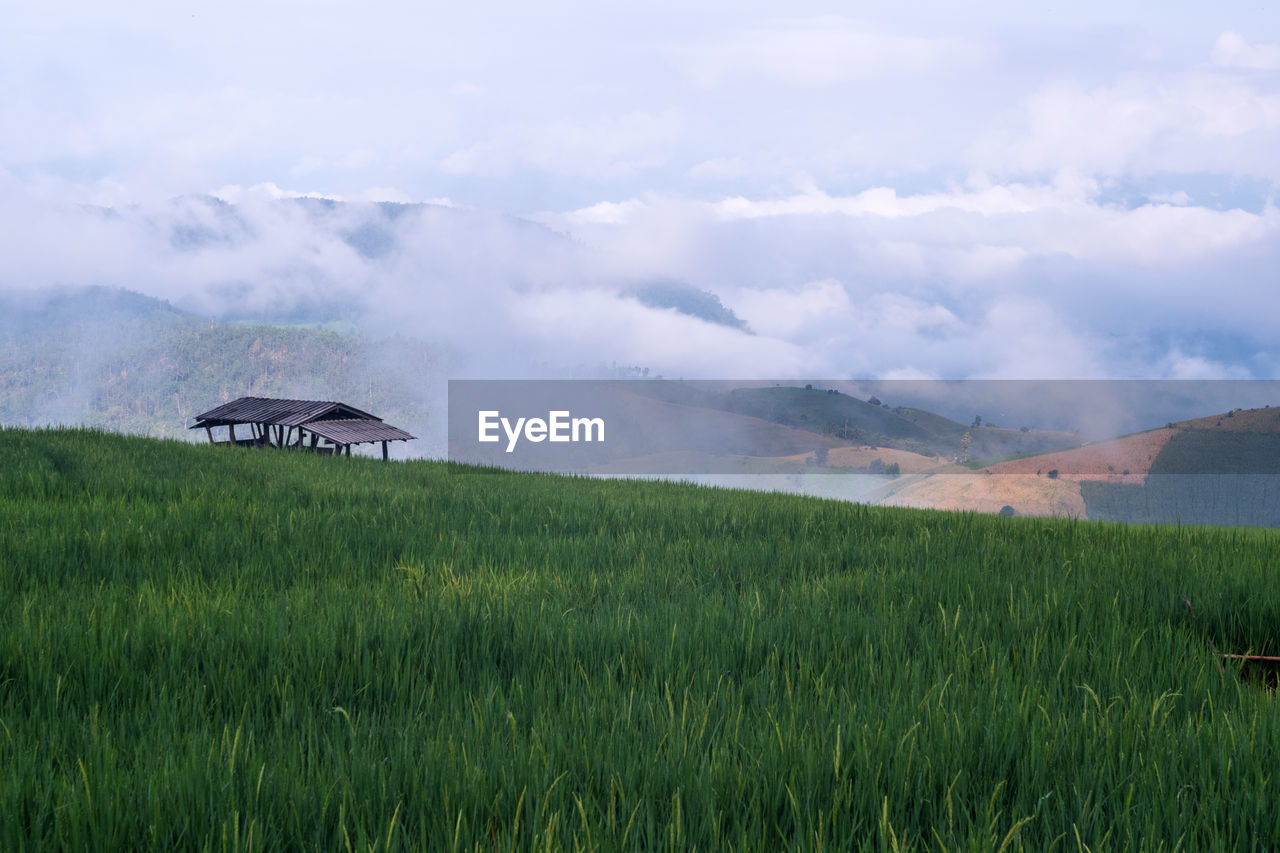 PANORAMIC VIEW OF AGRICULTURAL FIELD AGAINST SKY