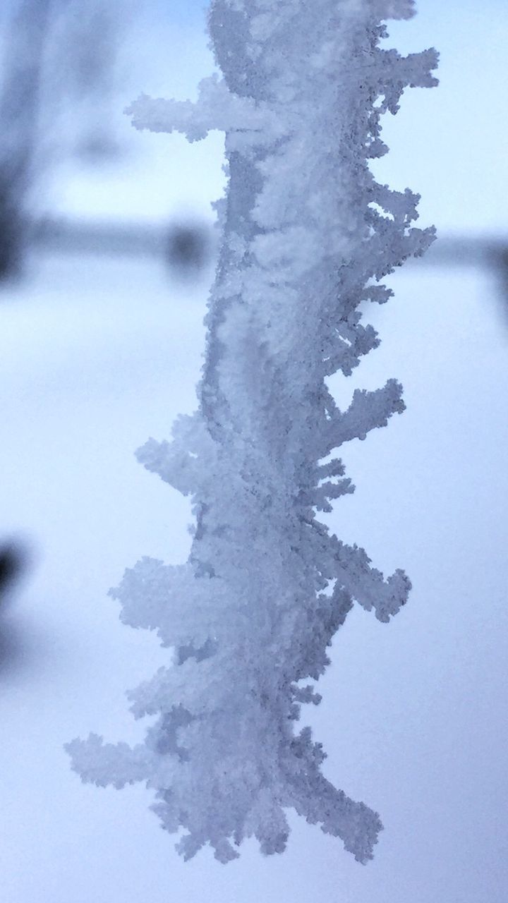 Close-up of icicle hanging outdoors