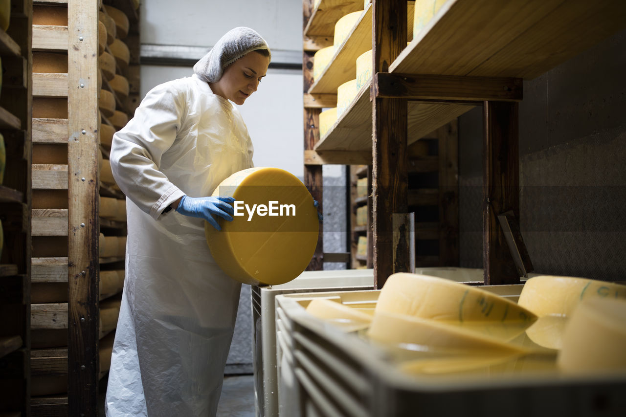 Cheese factory worker controlling maturation of cheese