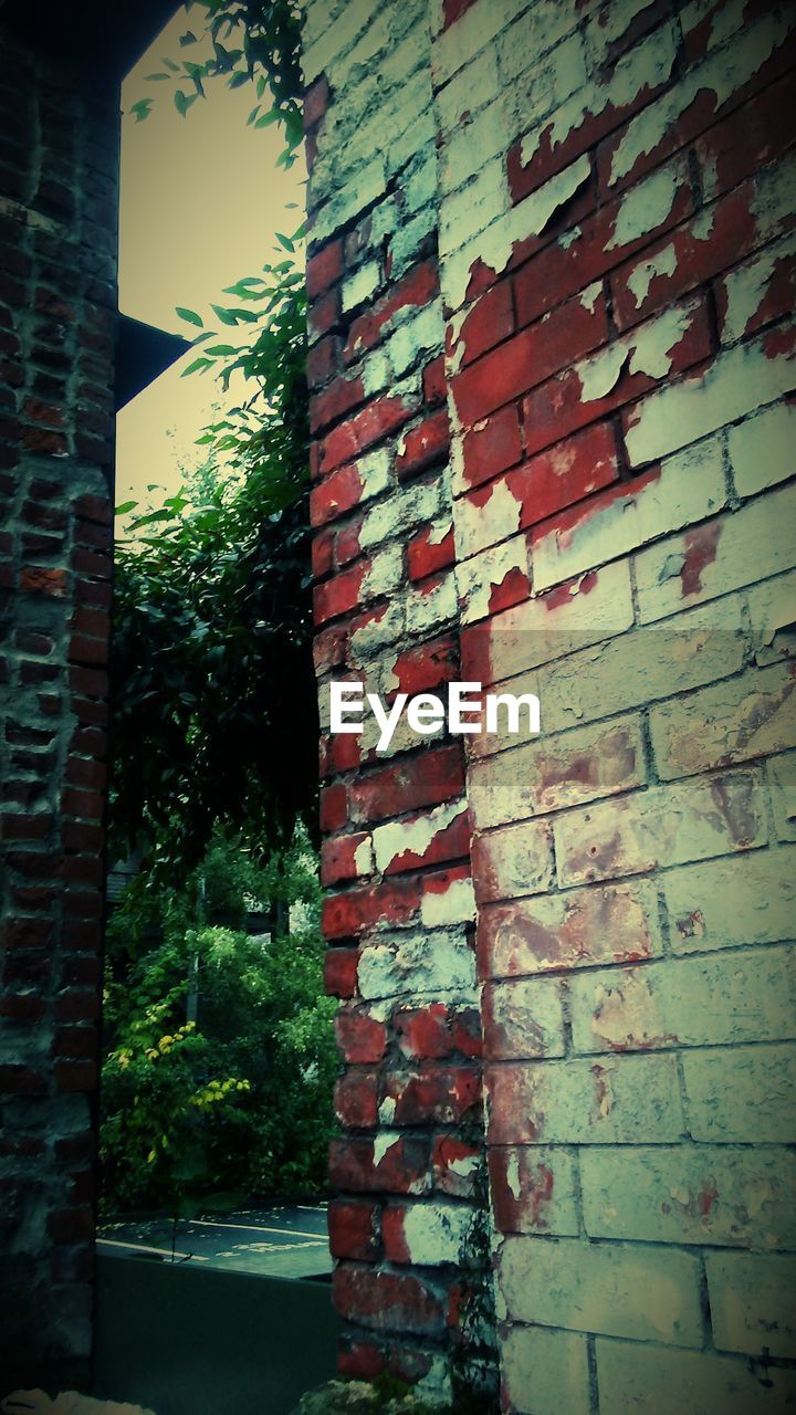 CLOSE-UP OF BRICK WALL WITH TREES