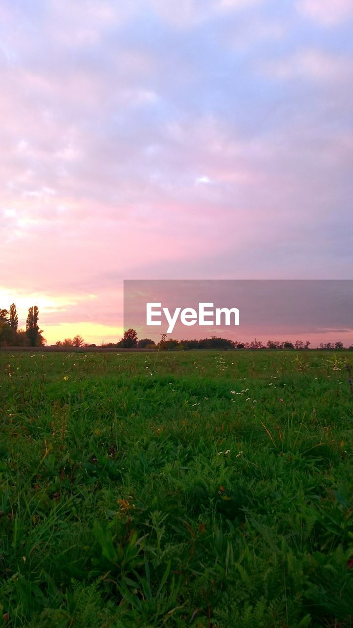 SCENIC VIEW OF FIELD AGAINST DRAMATIC SKY DURING SUNSET