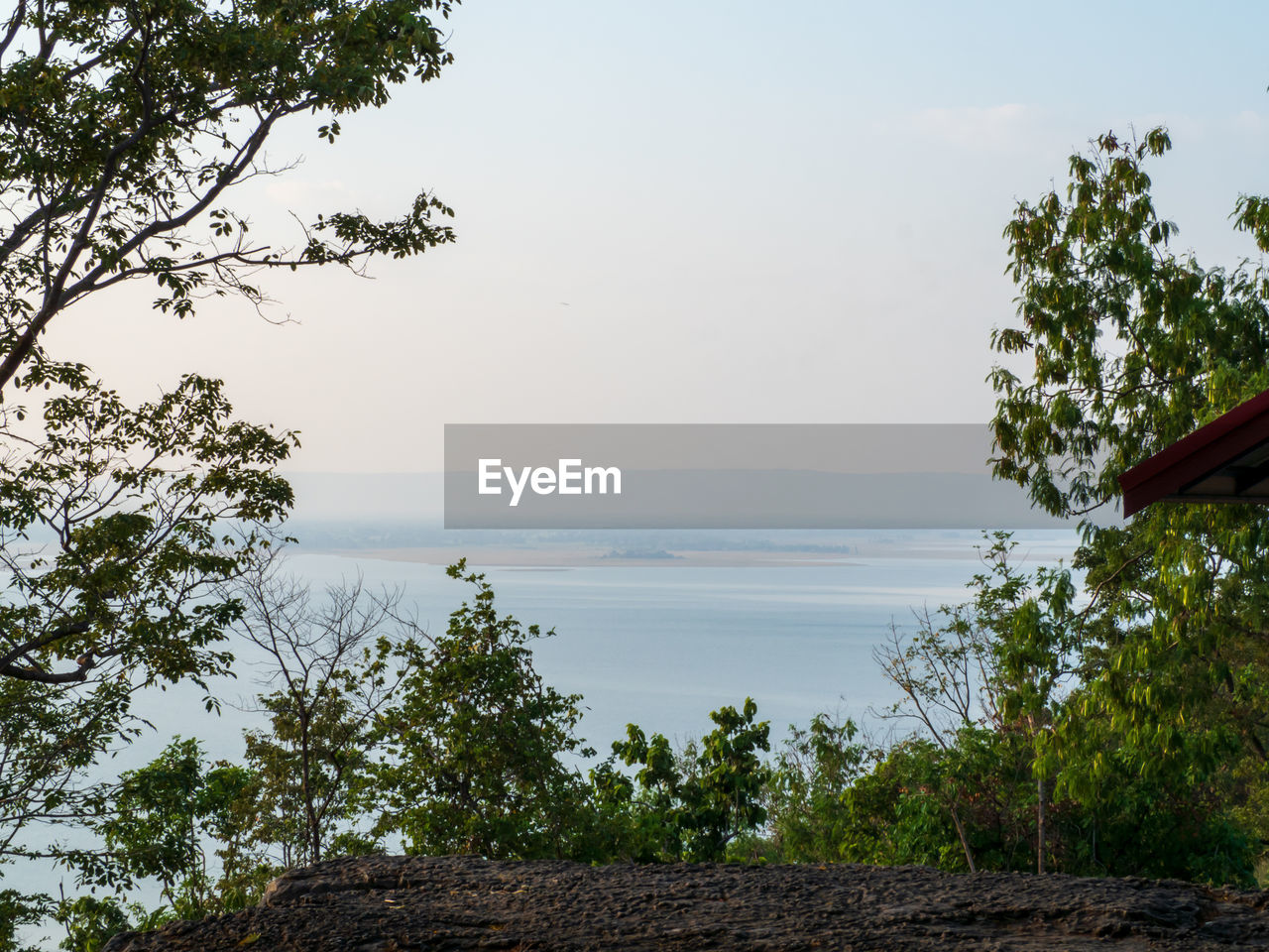 Scenic view of lake in forest against sky