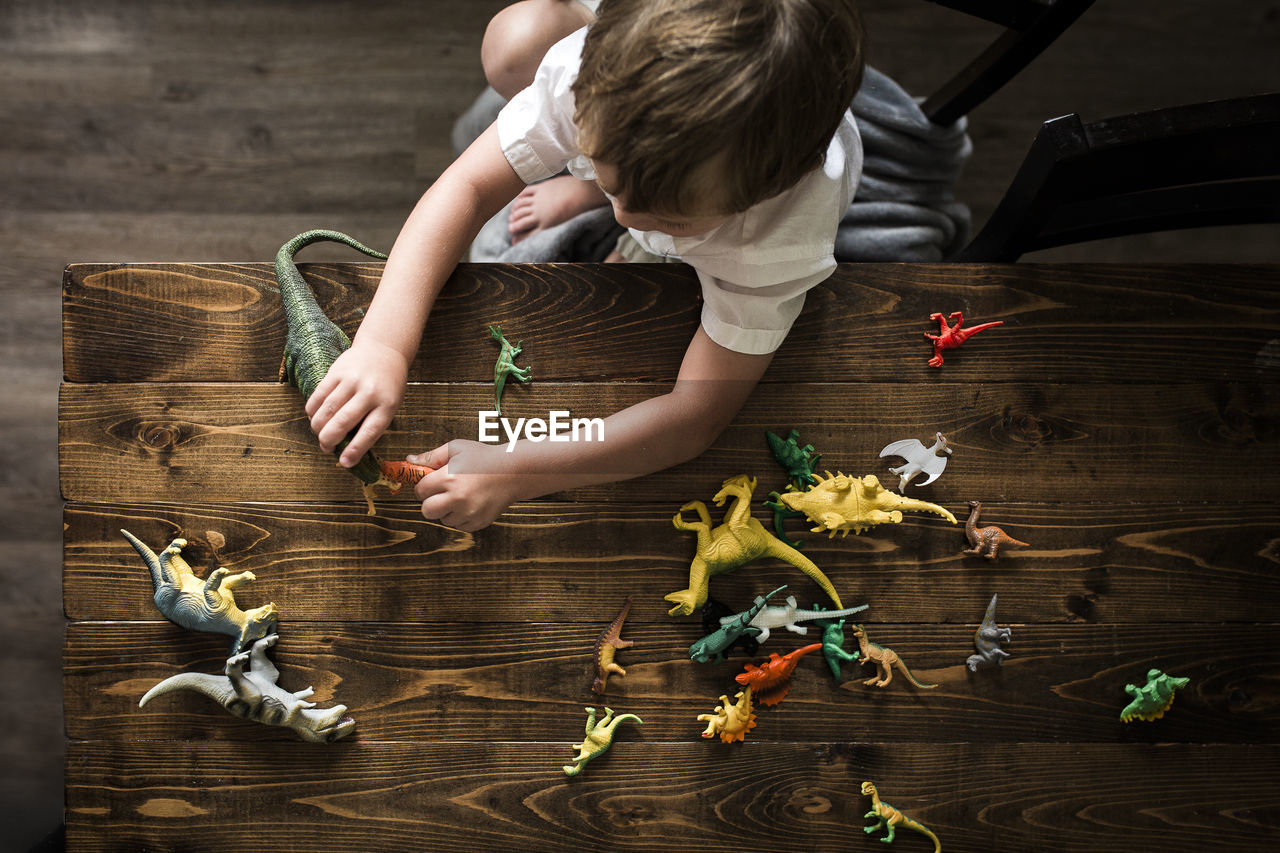 Boy playing with toy dinosaurs at table