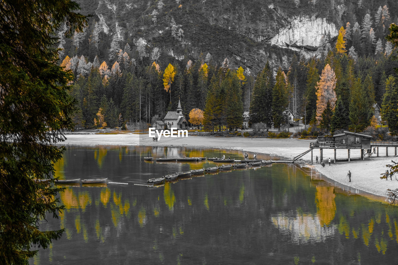 REFLECTION OF TREES IN LAKE