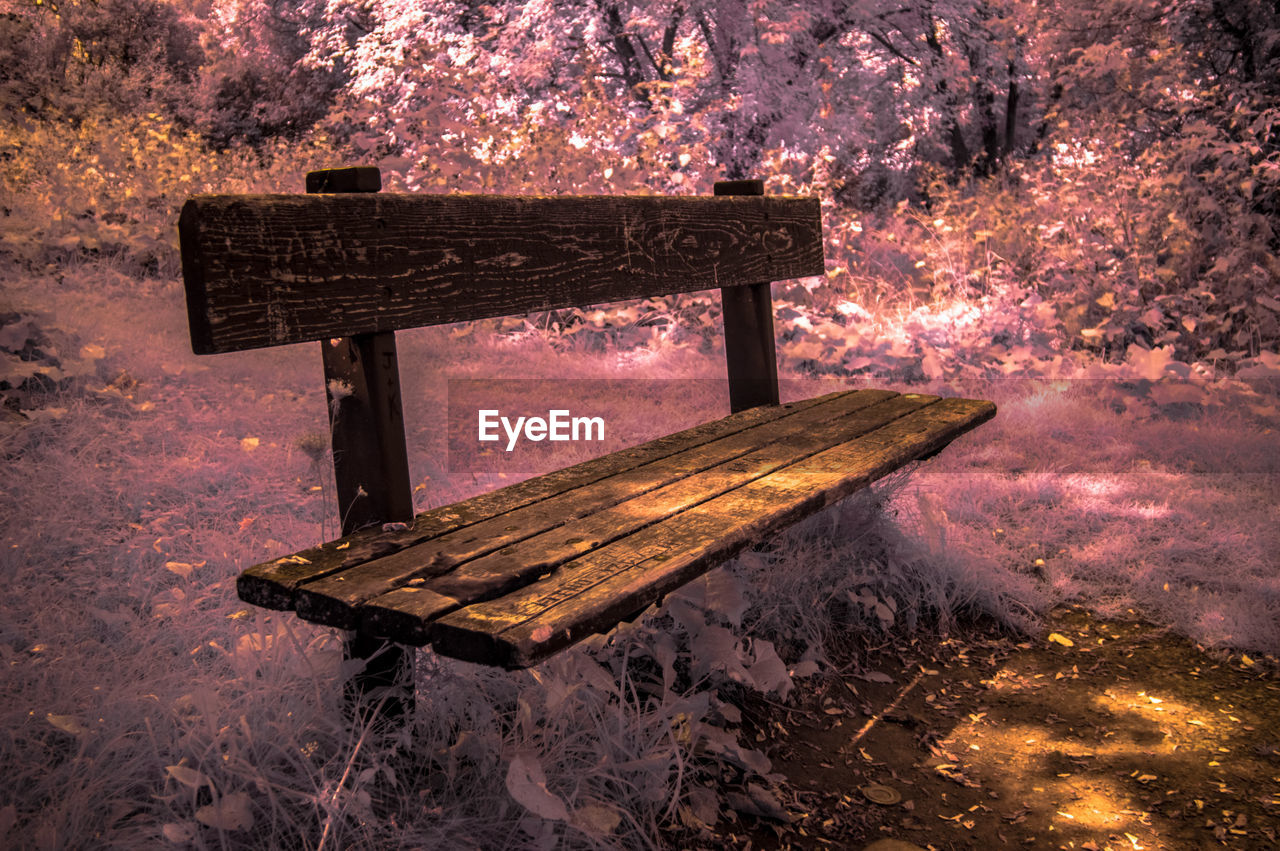 Empty bench in park