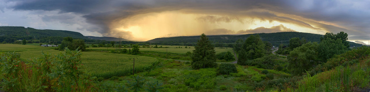 PANORAMIC SHOT OF FIELD AGAINST SKY