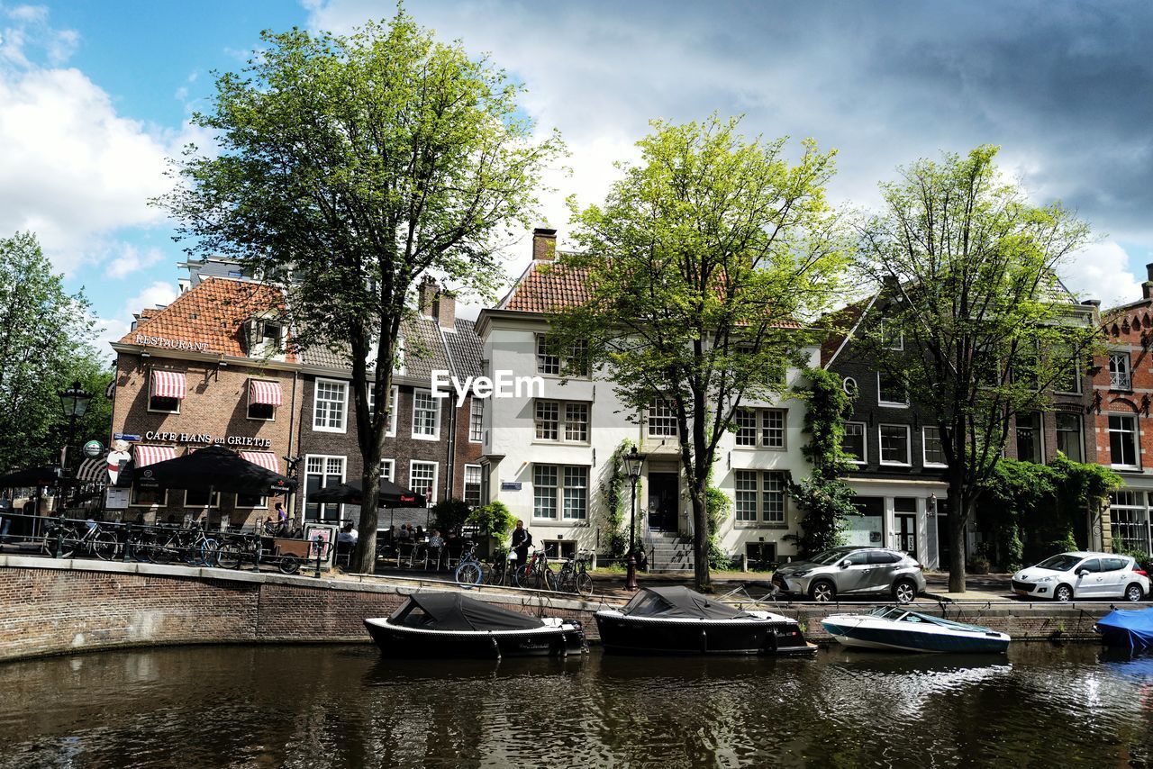 Trees by buildings in city against sky