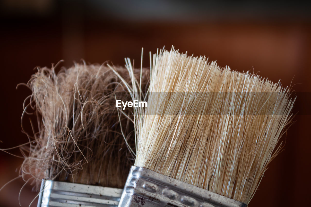 Close-up of paintbrushes