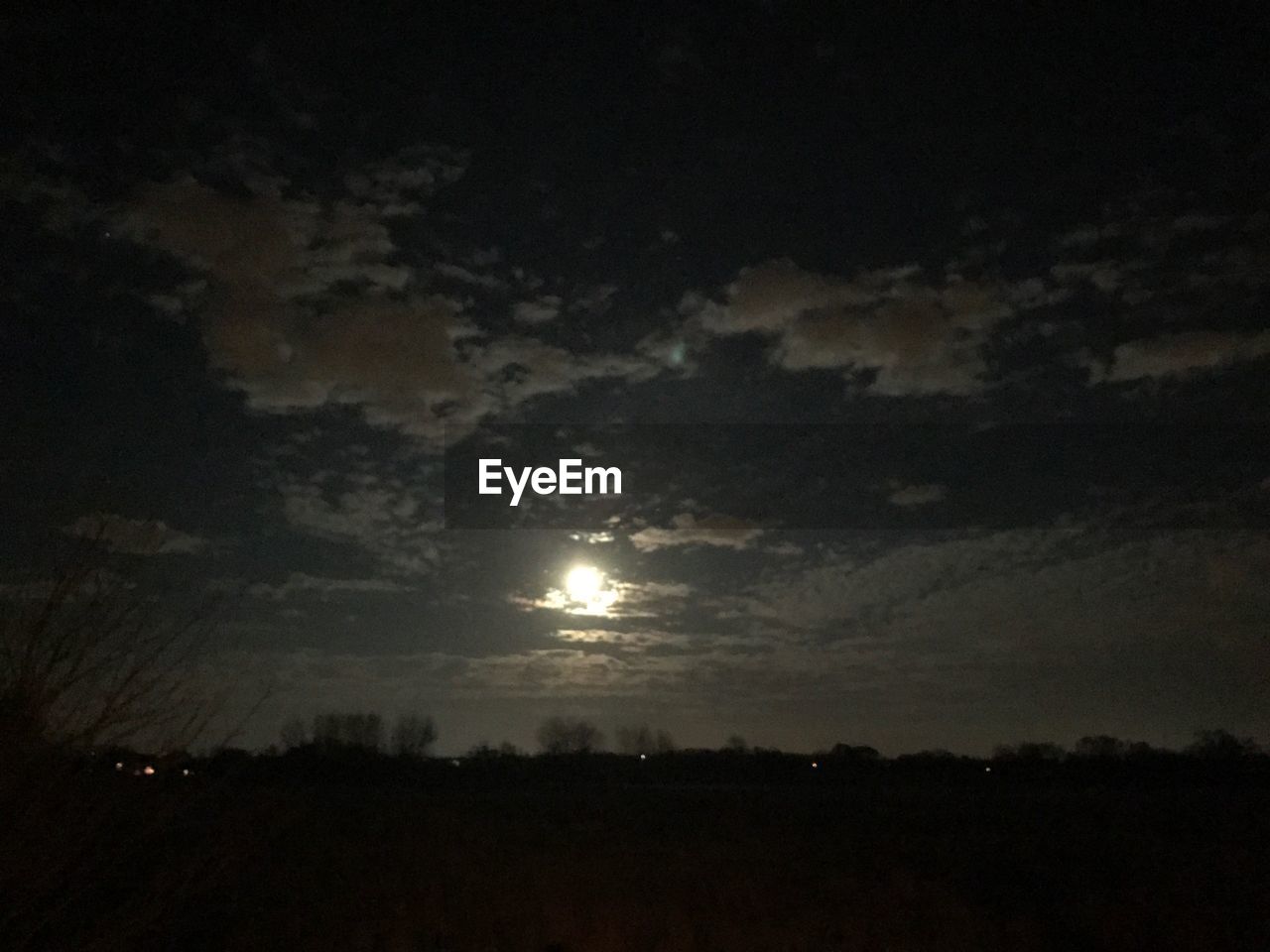 LOW ANGLE VIEW OF SILHOUETTE TREES AGAINST MOON AT NIGHT