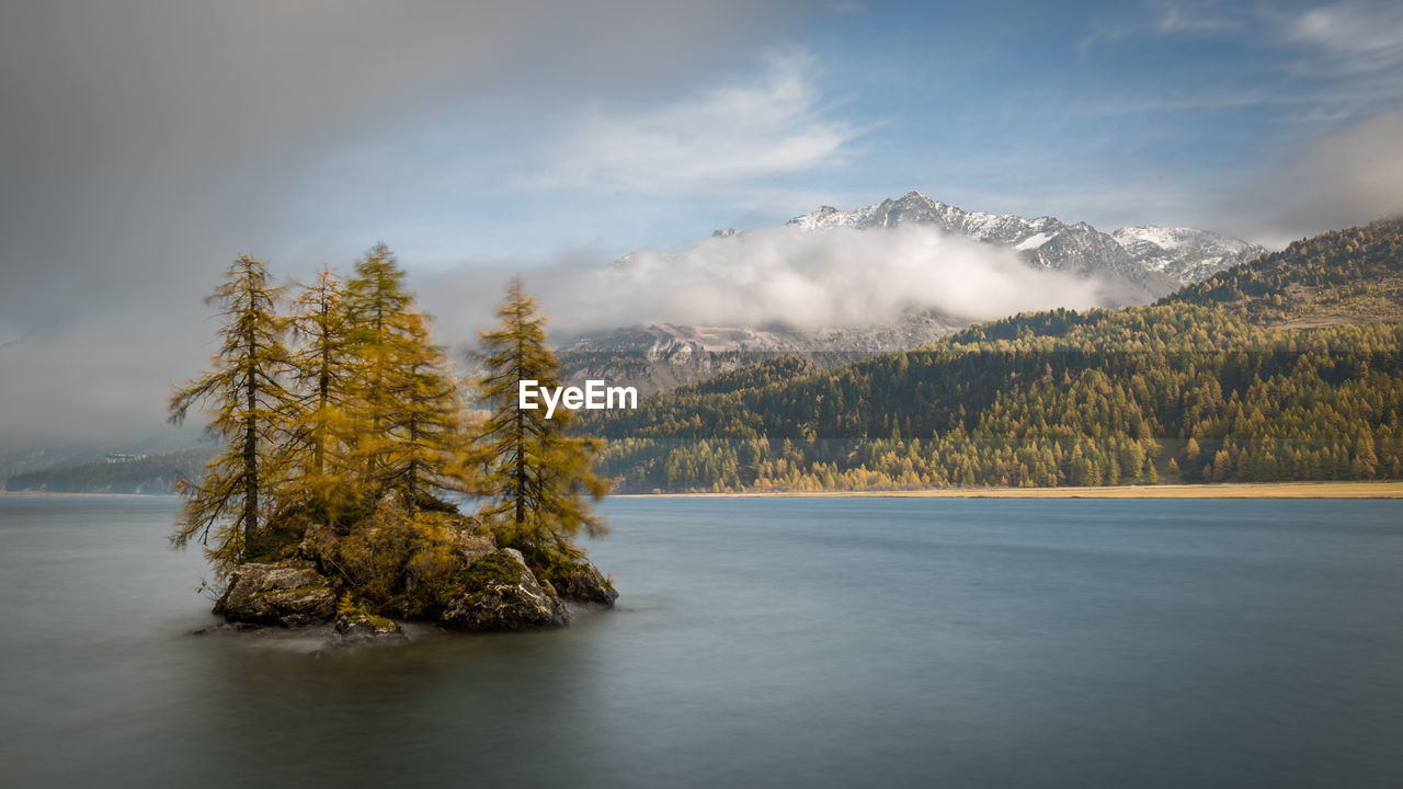 SCENIC VIEW OF LAKE BY TREE AGAINST SKY