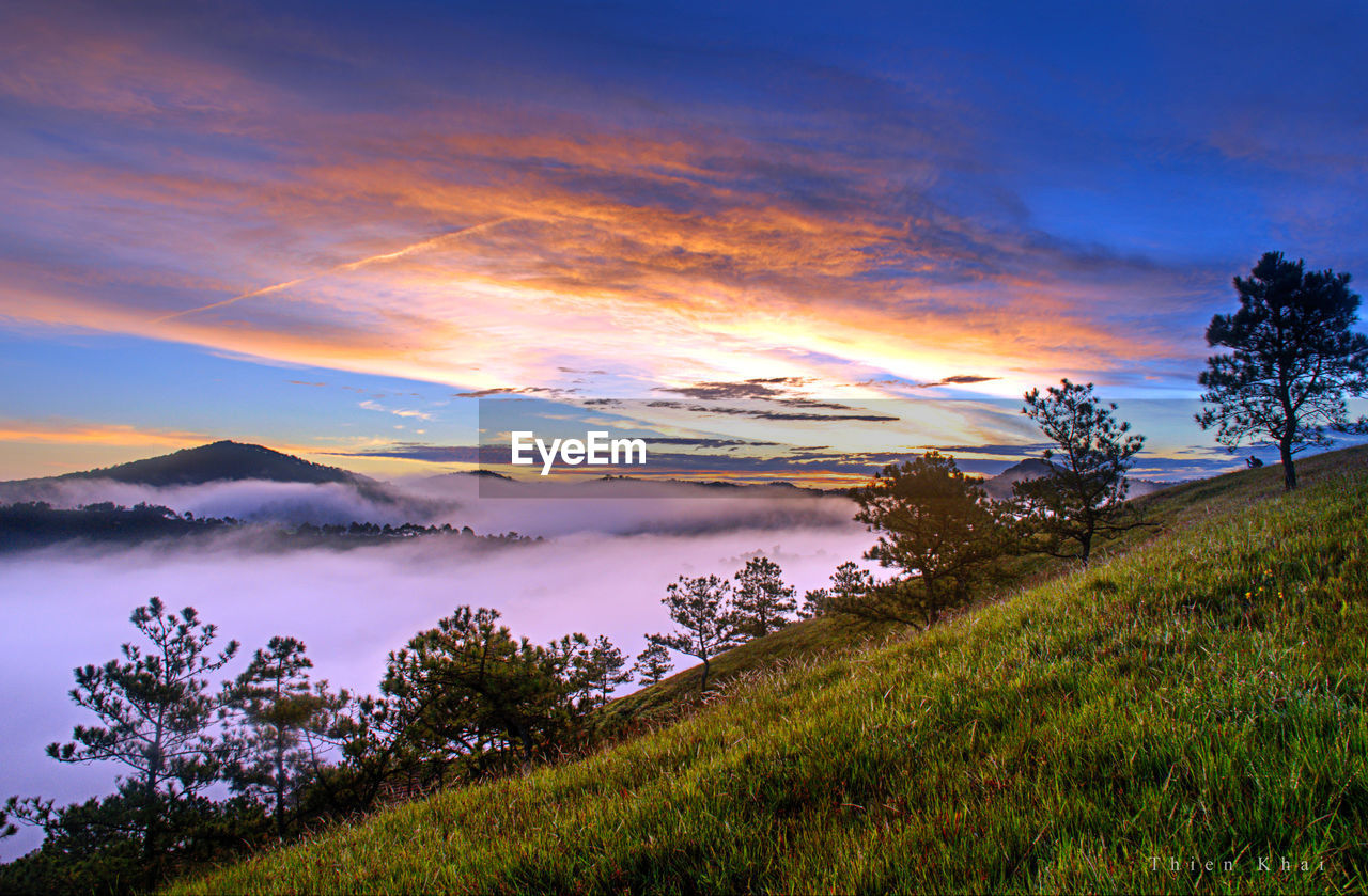 SCENIC VIEW OF LAKE AND TREES AGAINST SKY