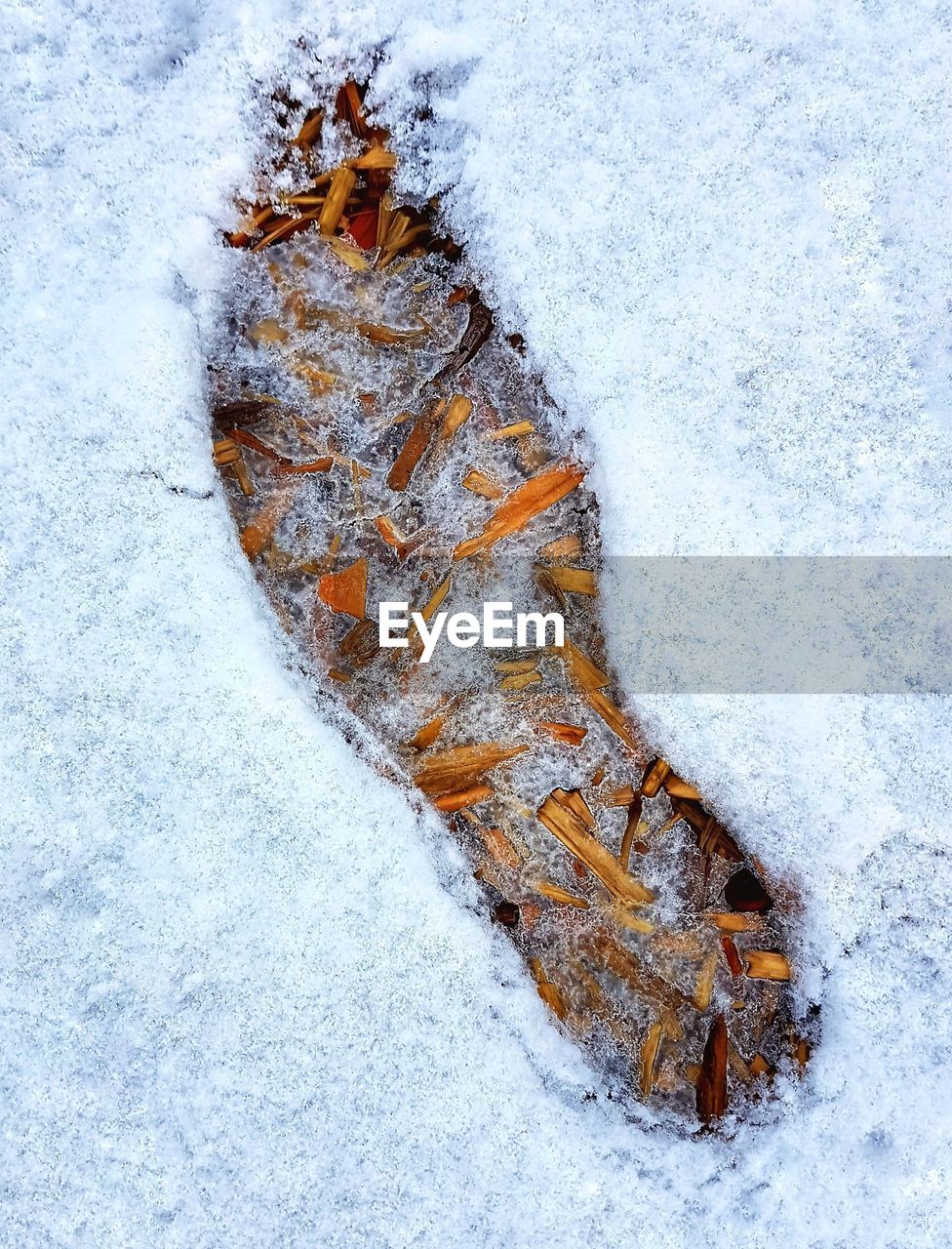 HIGH ANGLE VIEW OF FROZEN LEAF