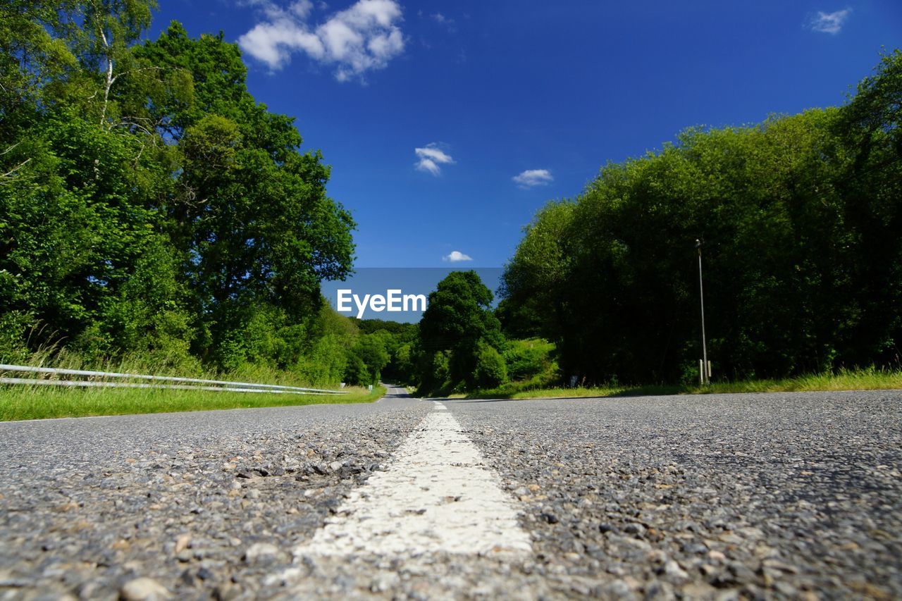 SURFACE LEVEL OF ROAD ALONG TREES