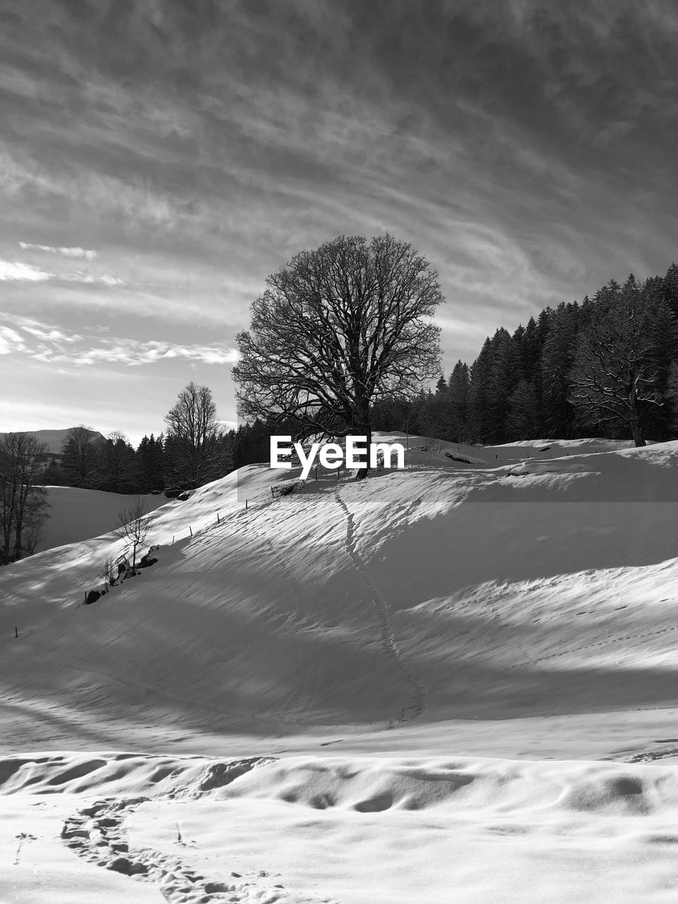 SNOW COVERED FIELD AGAINST SKY