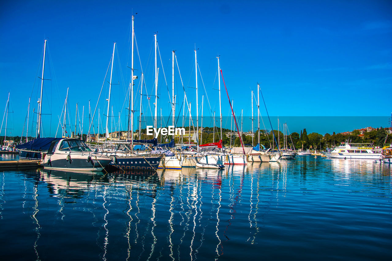Sailboats moored in harbor
