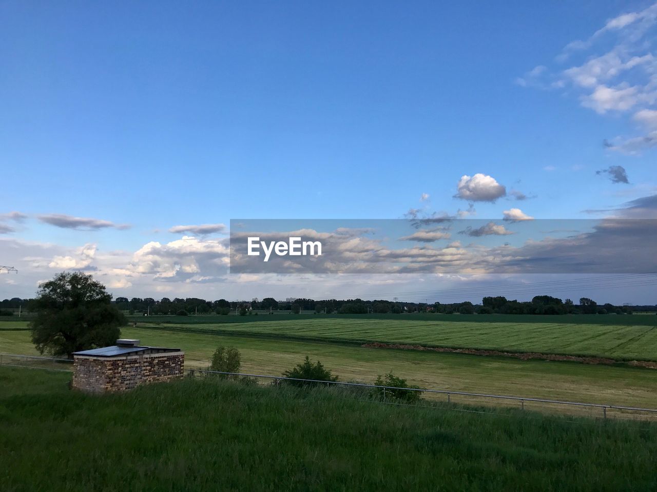 AGRICULTURAL FIELD AGAINST BLUE SKY