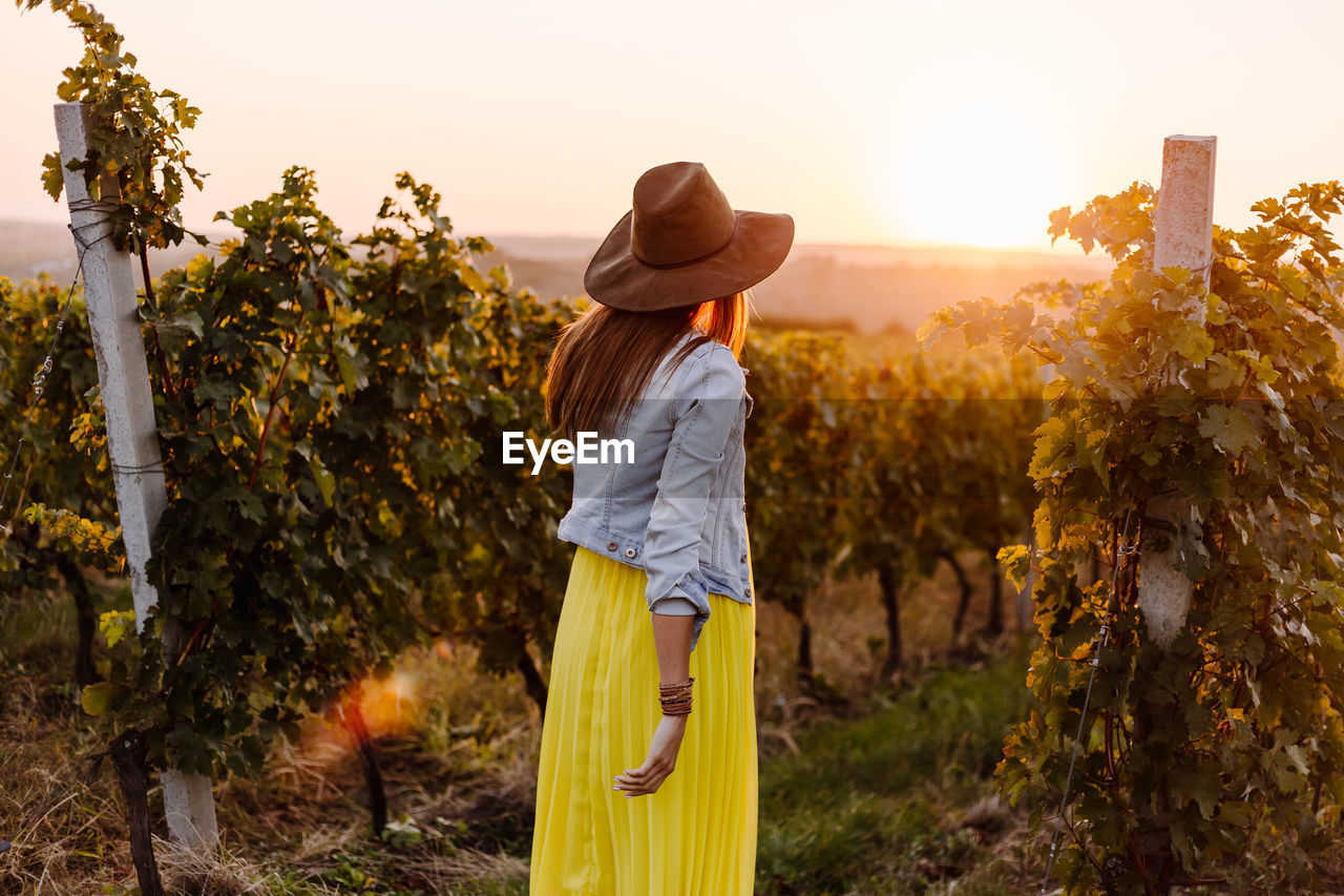Rear view of woman walking at vineyard against clear sky during sunset