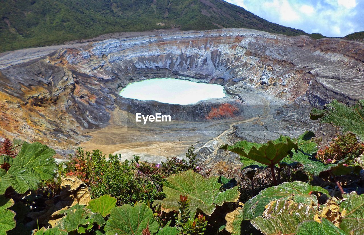 High angle view of plants against hot spring