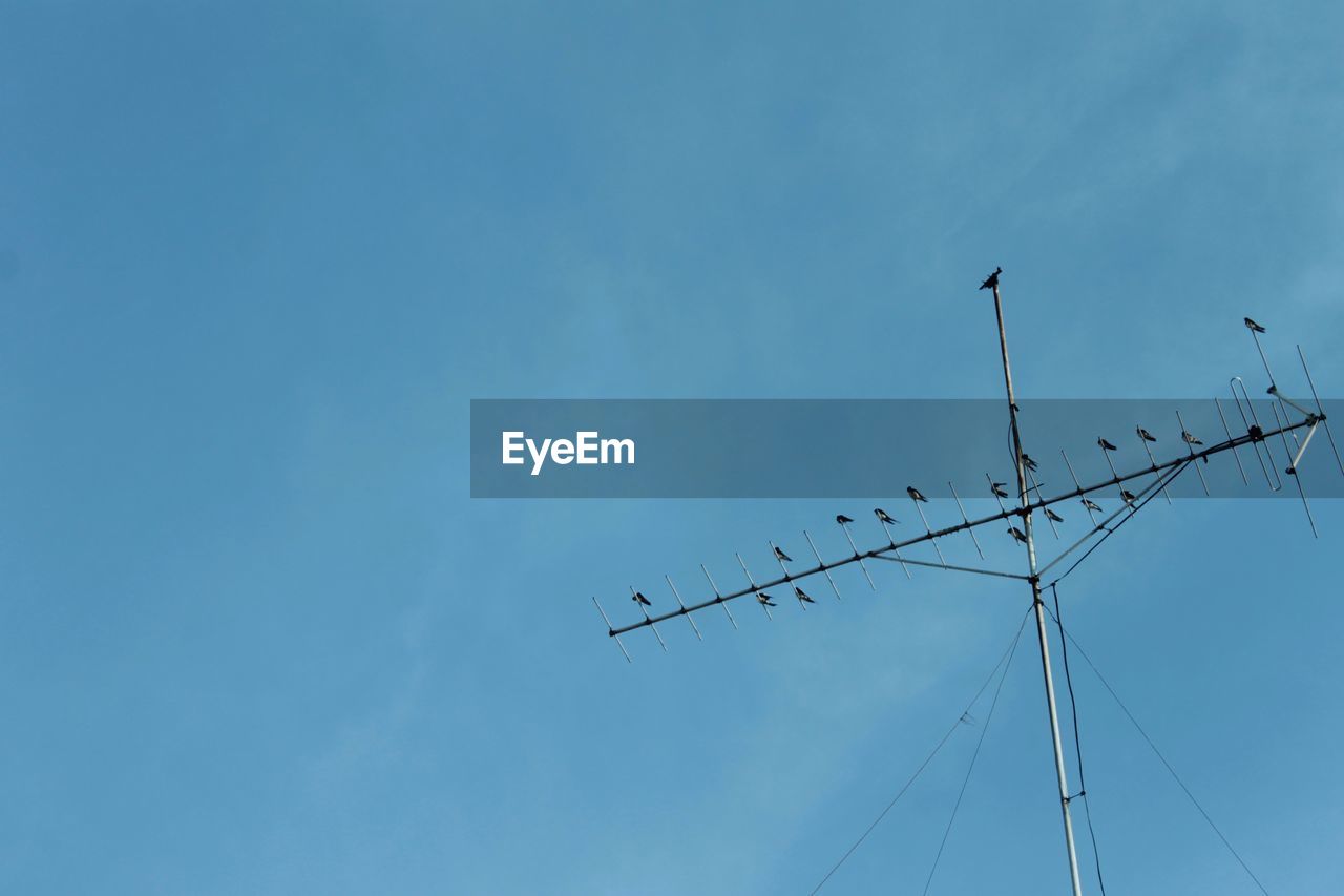 Low angle view of birds on cable against sky