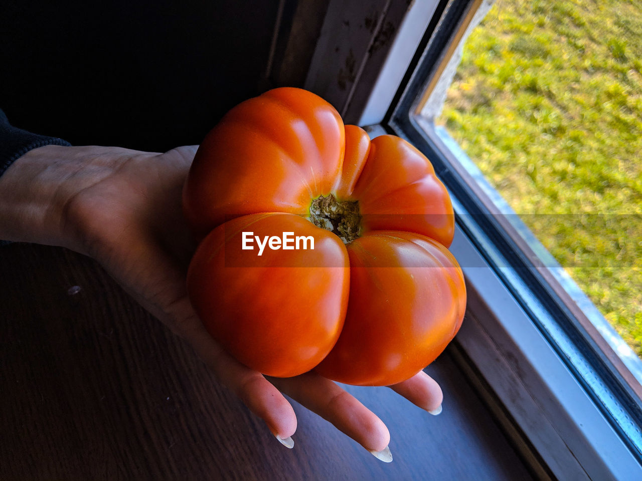 HIGH ANGLE VIEW OF PERSON HAND HOLDING ORANGE