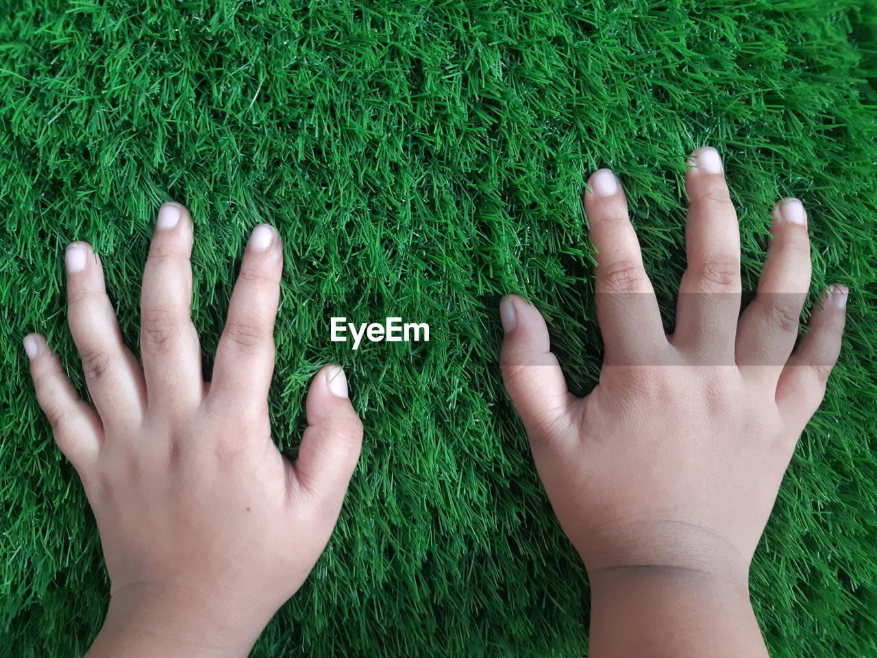 Cropped image of person hand on grass field