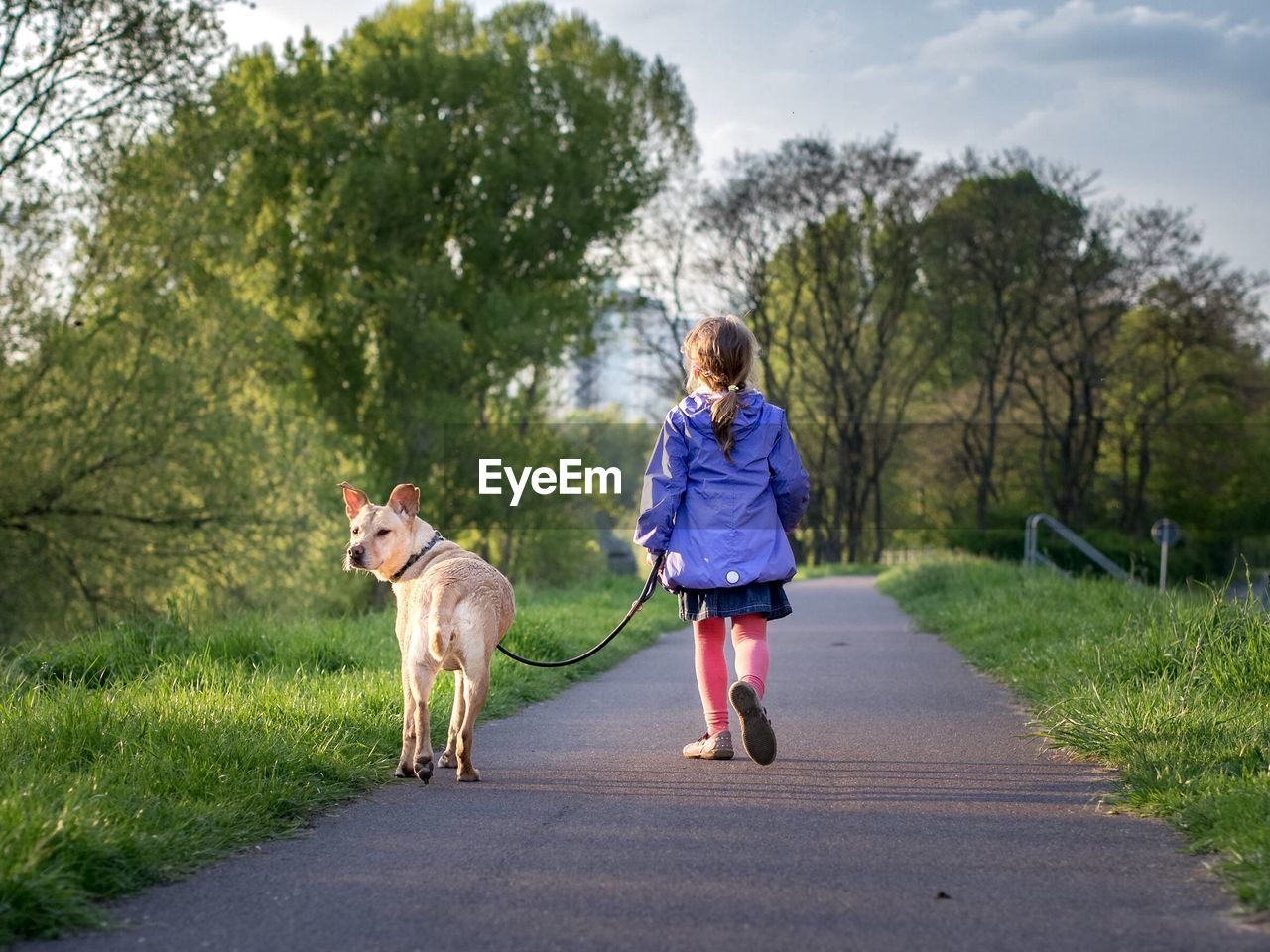 Rear view of girl with dog walking on footpath against trees